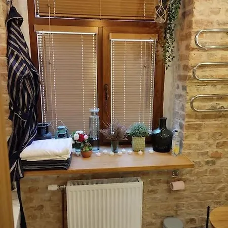 уютный лофт среди старых парков アパート リガ